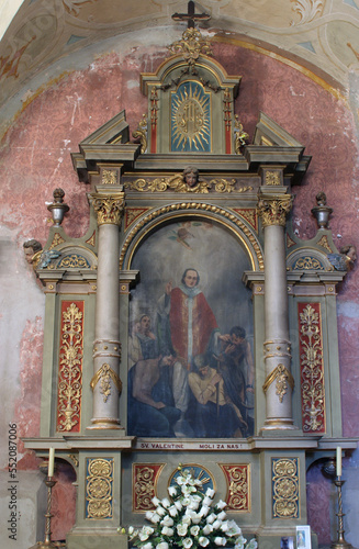 Altar of Saint Valentine in the Church of the Blessed Virgin Mary in Jastrebarsko, Croatia