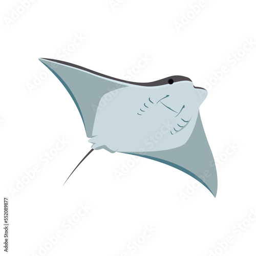 Comic grey stingray bottom view flat vector illustration. Cute fish cartoon character with eyes, manta ray, adorable sea creature isolated on white background. Animals, wildlife, nature concept