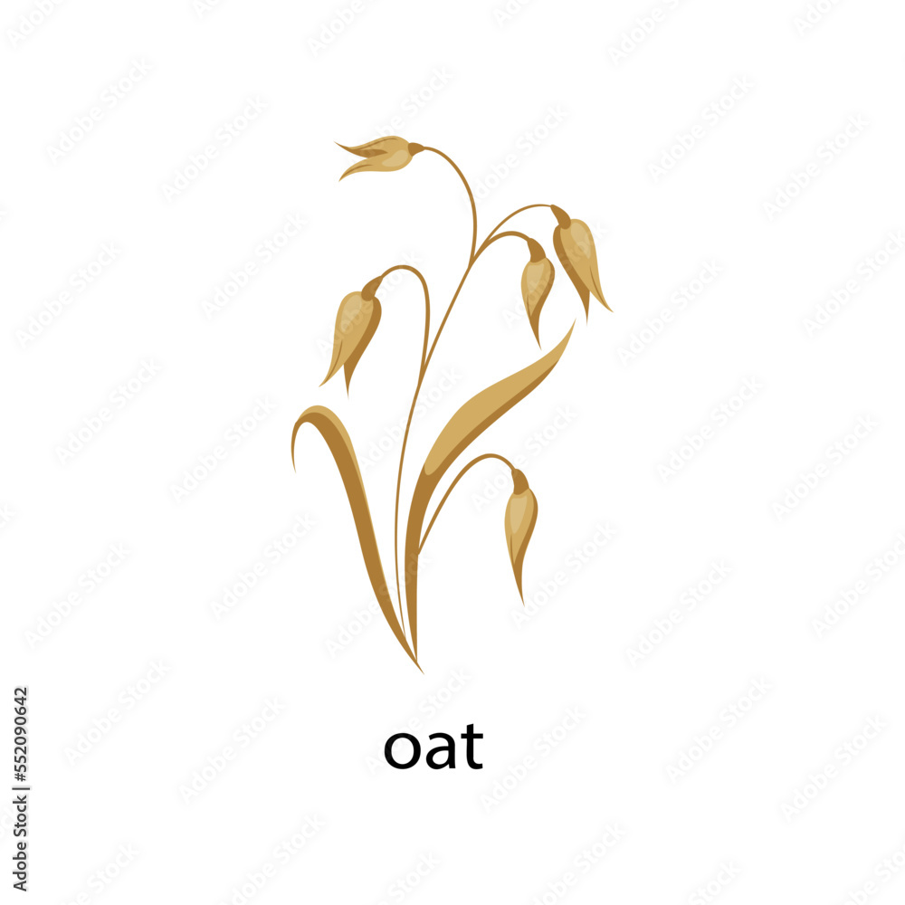 Oat cereal crop cartoon illustration. Oat with leaves isolated on white background. Plant, flowers concept Oat cereal crop cartoon illustration. Oat with leaves isolated on white background. Plant, flowers concept