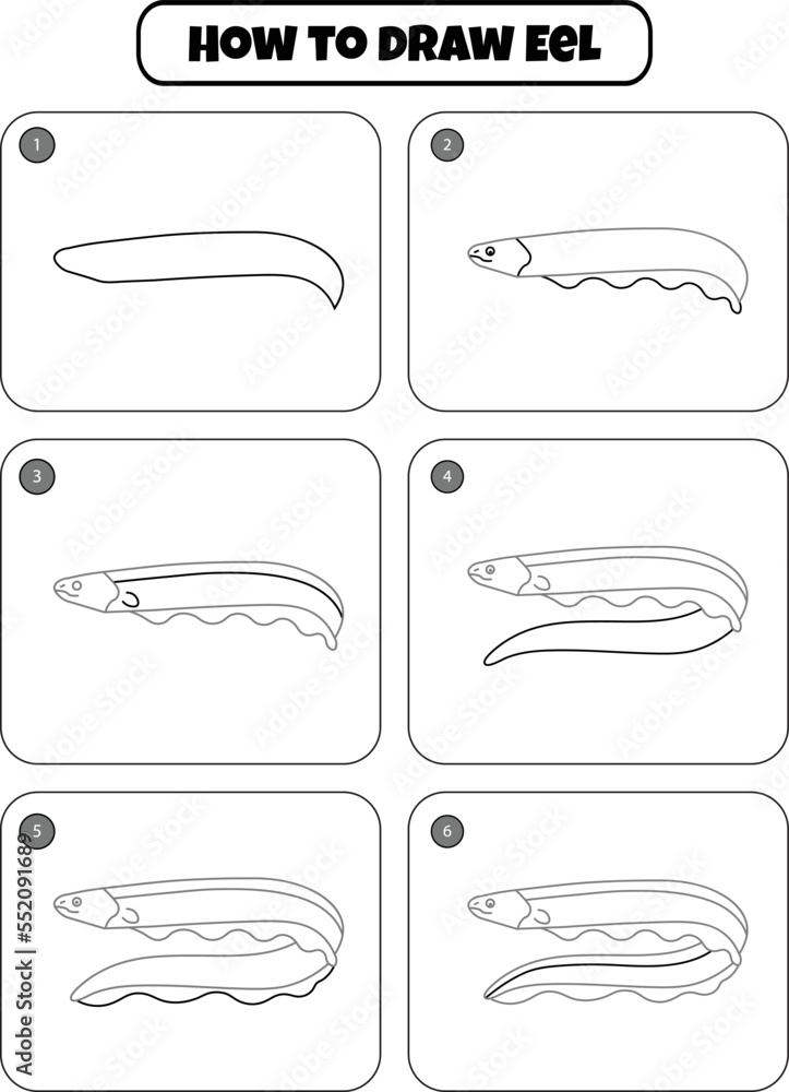 How to draw Eel stepbystep drawing page for kids Stock ベクター Adobe Stock