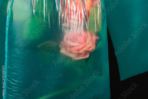 Rose flower in a plastic bag filled with water. Concept of nature suffering from plastic waste.