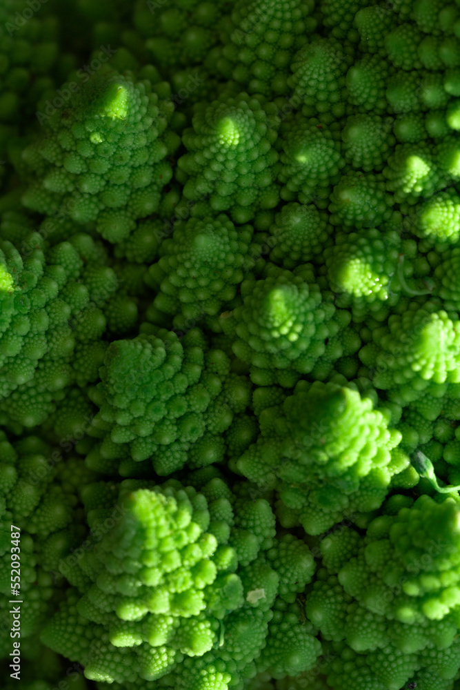 Green vegetable background of Romanesco cabbage. Romanesco cabbage close-up. Agricultural business. Growing vegetables. Plant growing. Green vegetable background of Romanesco cabbage. Romanesco cabbage close-up. Agricultural business. Growing vegetables. Plant growing.