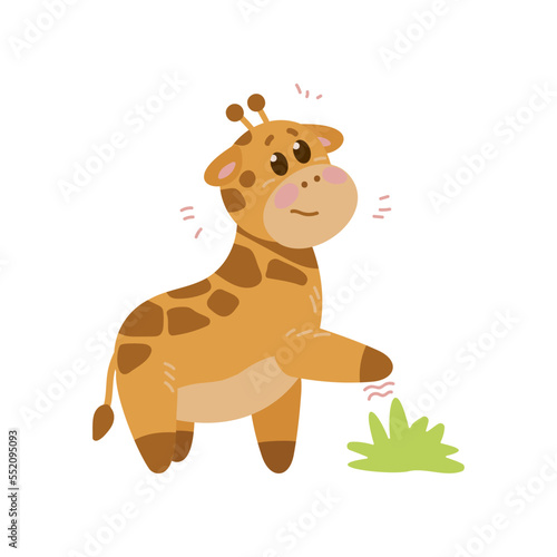 Adorable scared giraffe cartoon character vector illustration. Watercolor drawing with cute baby animal standing on white background. Wildlife concept for birthday card design