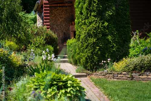 spring garden with nice flowers