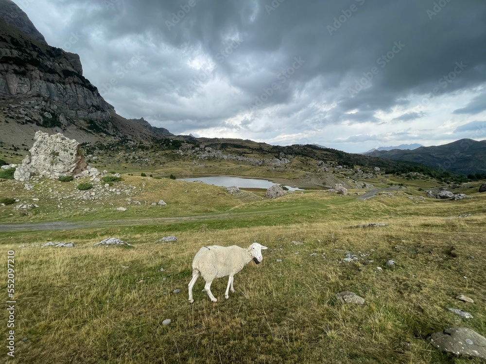 Ibón de Piedrafita 