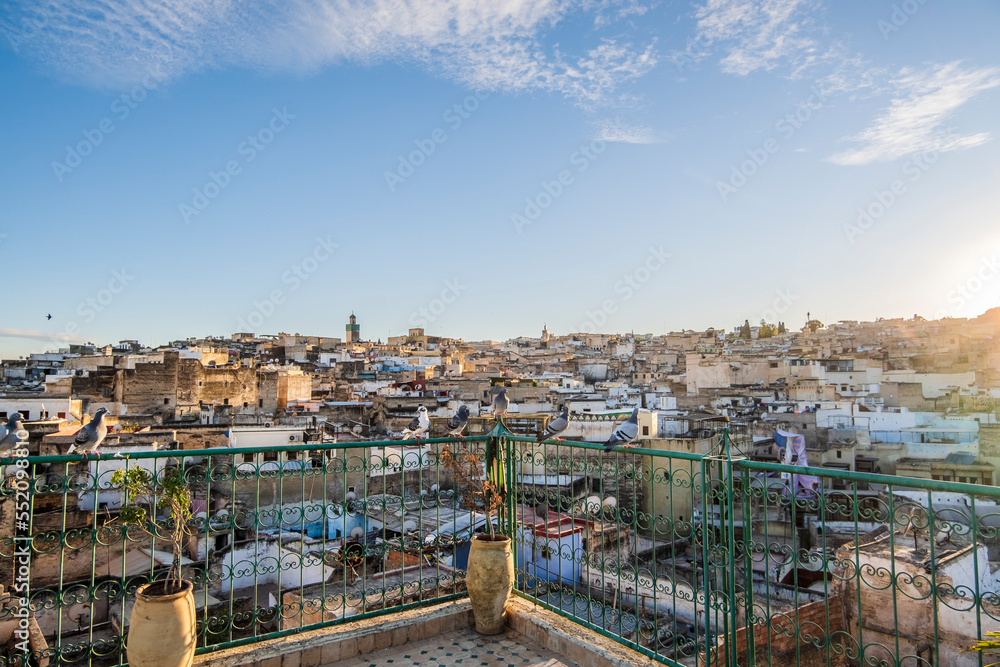 Medina of Fez skyline with pigeons resting on rooftop terrace at sunset, Fez, Morocco