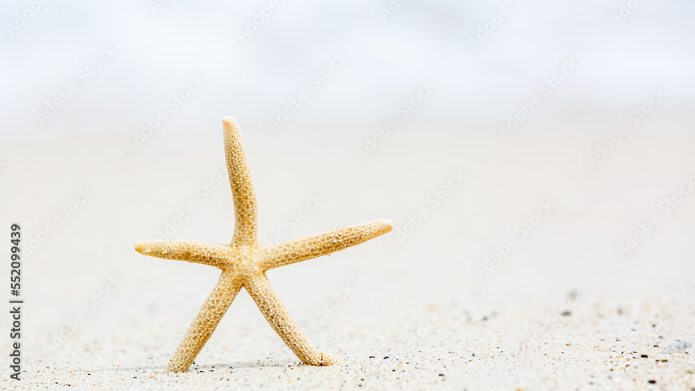 Starfish pon the tropical beach with copy space, Beautiful sea star on sandy beach, Summer travel concept. Starfish pon the tropical beach with copy space, Beautiful sea star on sandy beach, Summer travel concept.