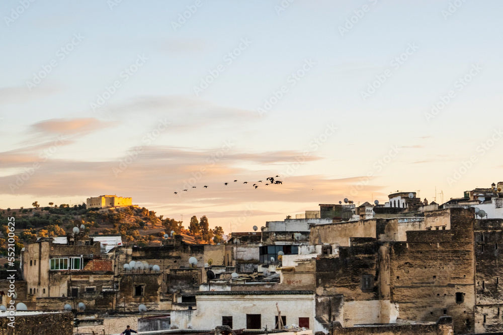 Old historic town of Fez with flock of birds flying toward sunset, Morroco.