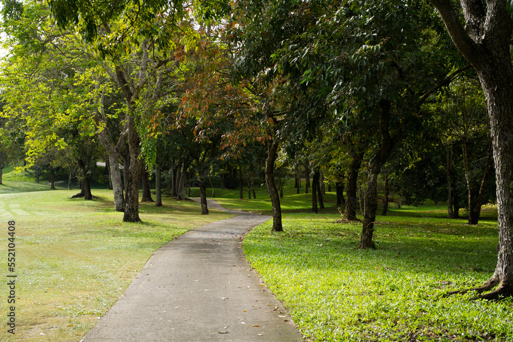 The cement road to the golf course is surrounded by trees, used for walking and providing golf carts.
