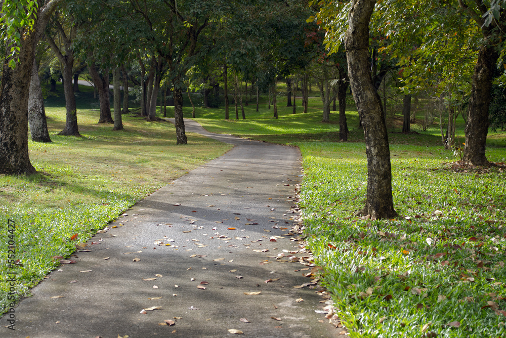 The cement road to the golf course is surrounded by trees, used for walking and providing golf carts.