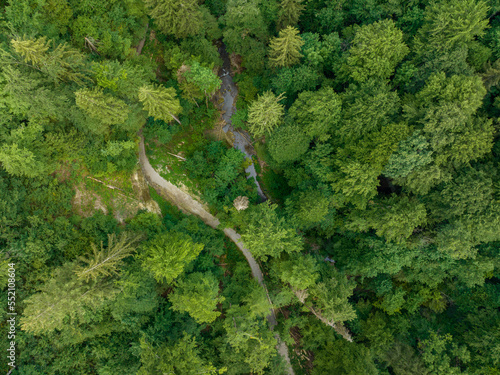 Aerial view of tranquil river flowing through green forest.