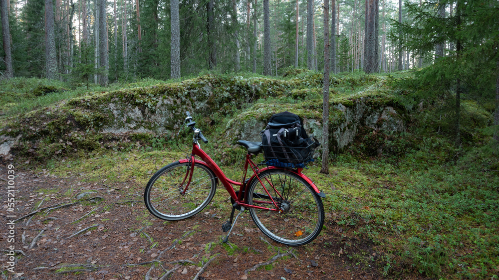 Fototapeta premium cycling in the forest