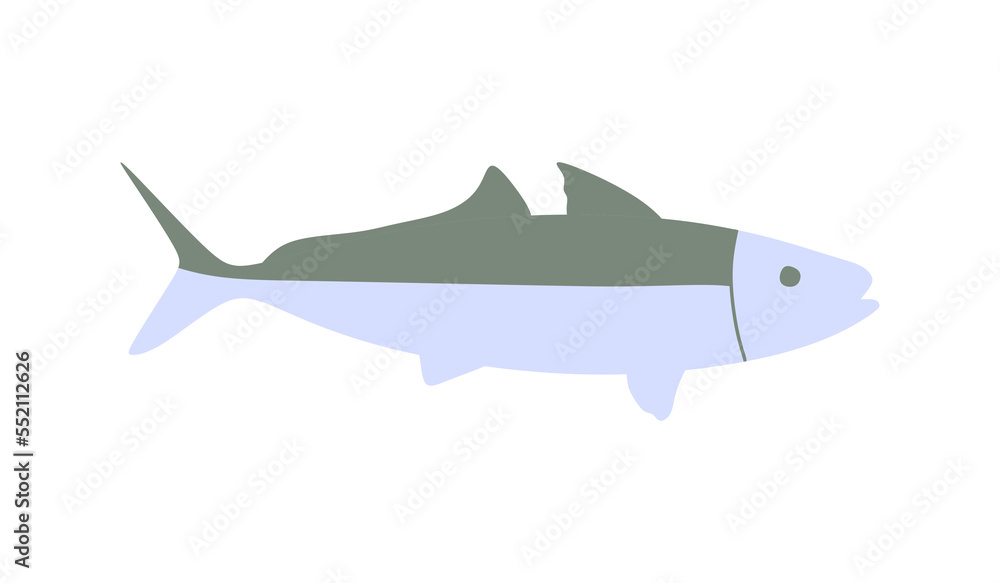 Fototapeta premium Scad fish isolated. illustration scad fish on white background. vector eps10