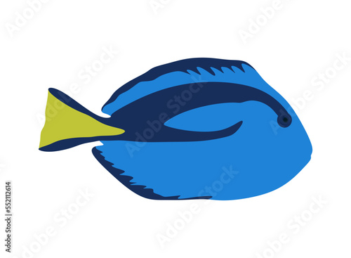 Fotografía Cute sea fish