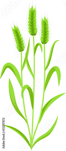 Green natural farm plant. Organic crop growing