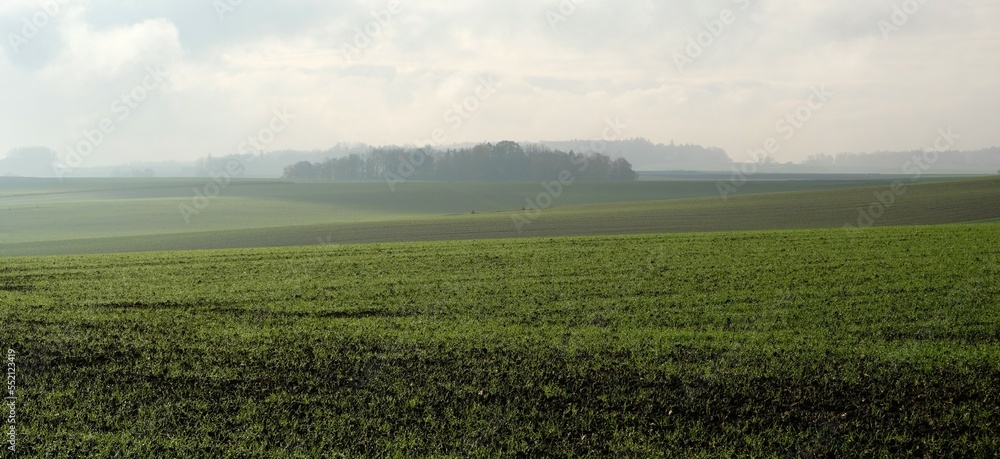 Plaine de Waterloo, paysage de la campagne brabançonne dans le brouillard automnal