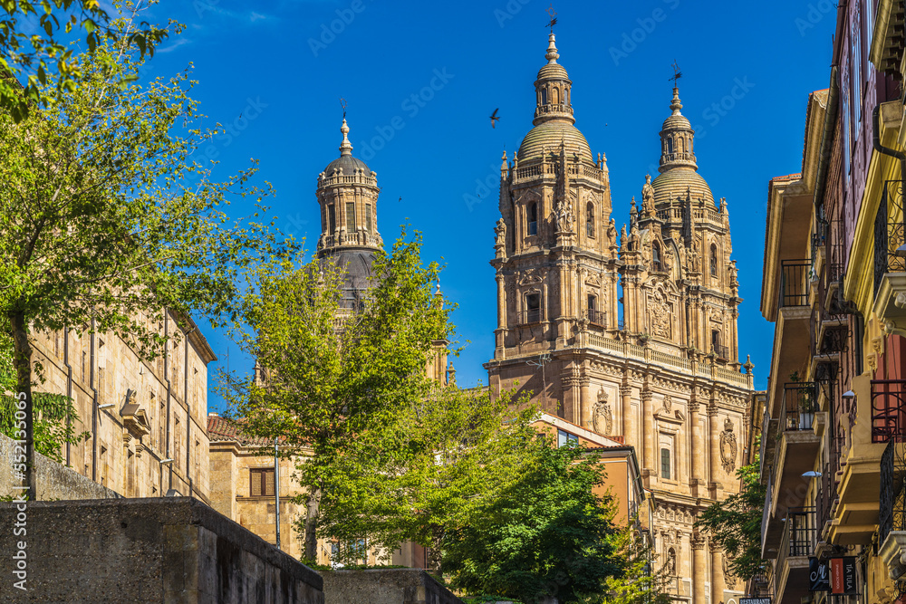 View of the Torres de la Clerecia in the city of Salamanca, in Spain.