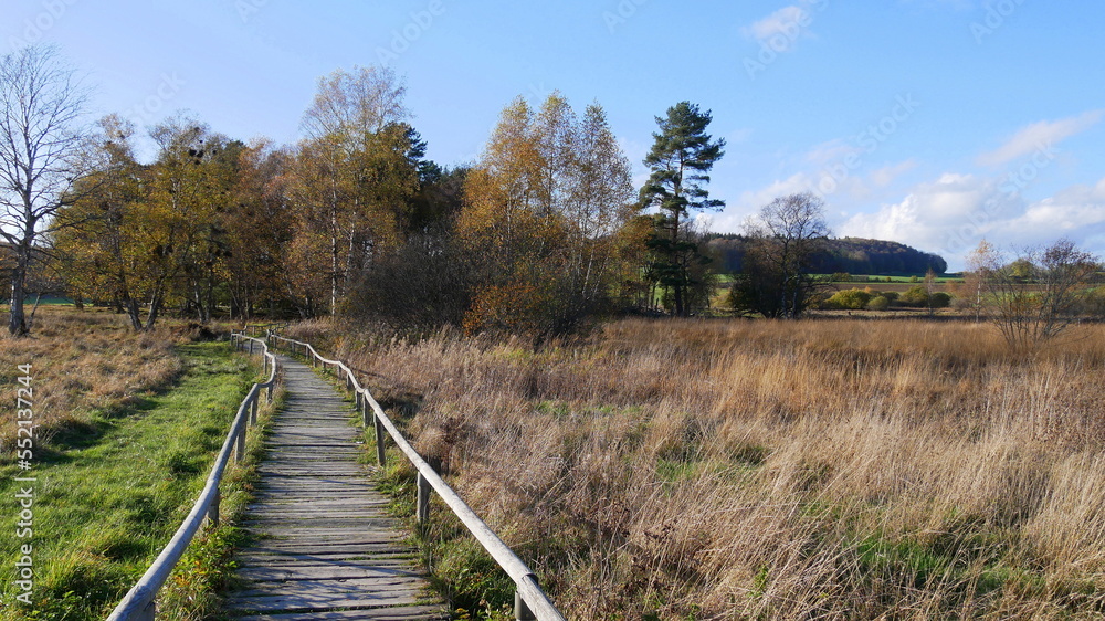 Schwellenweg durch das Schopflocher Torfmoor auf der schwäbischen Alb Schwellenweg durch das Schopflocher Torfmoor auf der schwäbischen Alb