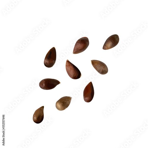 Apple Seed Isolated, Apples Seeds Group on White Background