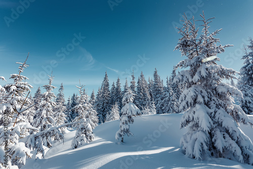 Wallpaper Mural Wonderful Winter Landscape. Awesome Alpine Highlands in Sunny Day. Christmas holyday concept. Winter mountain forest. Snowy mountains and perfect blue sky. Amazing Nature background. postcard Torontodigital.ca