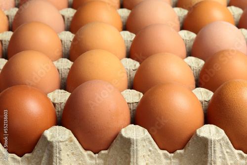 Fresh Organic Panel Eggs on Burlap, Eggs in a cardboard tray with blur