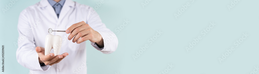 Dental clinic banner. Dentist hands hold a healthy white tooth model and mirror on a blue background. Copy space. Teeth whitening, dental treatment, implant concept, oral hygiene, teeth restoration. Dental clinic banner. Dentist hands hold a healthy white tooth model and mirror on a blue background. Copy space. Teeth whitening, dental treatment, implant concept, oral hygiene, teeth restoration.