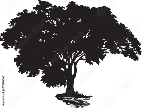 Korean Wild Pear Tree Vector 