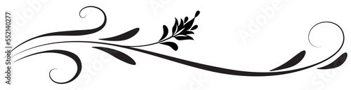 Floral ornament with leaves and abstract lines. Graceful element for decor and greeting or invitation card design