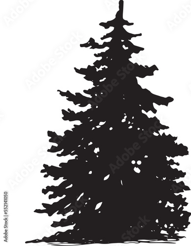 Spruce Vector 