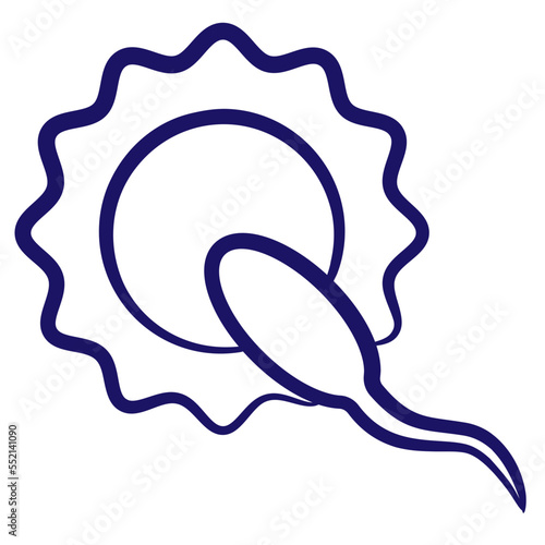 Fertilization of an egg by a sperm. Minimal vector icon drawn with brush line. Blue linear medical pictogram isolated on transparent background