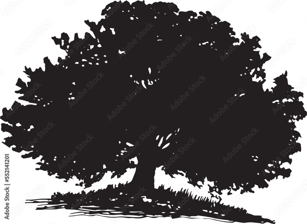Wild Crab Apple Tree Vector Stock Vector Adobe Stock
