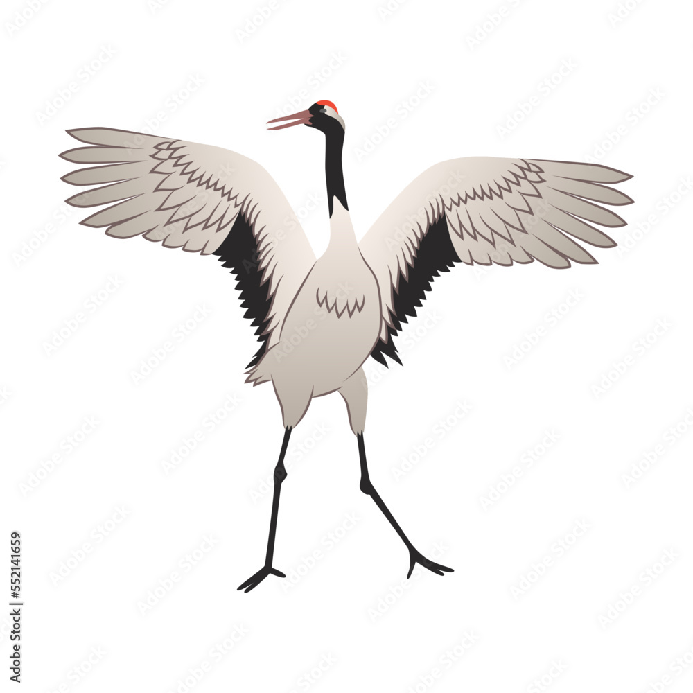 Stork bird cartoon illustration. Red crowned heron flapping wings. Stork or Japanese bird isolated on white background Stork bird cartoon illustration. Red crowned heron flapping wings. Stork or Japanese bird isolated on white background