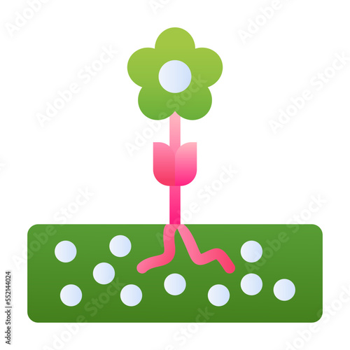 soil