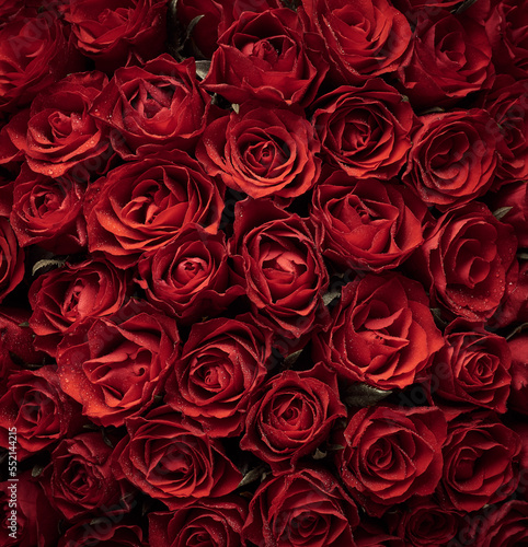 Vintage dark art background of red roses flowers