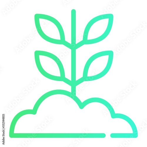 sprout