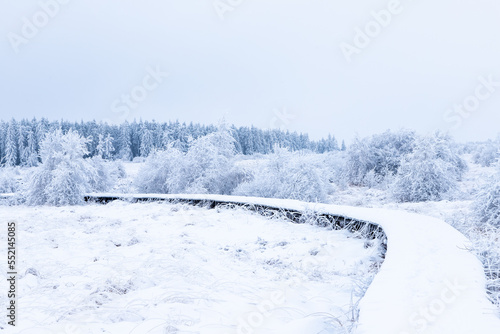 Fresh snow fall in the high fens of Baraque Michel of the Belgium Ardennes covering the landscape under a white layer creating a pure and serene view in this unique natural park in Europe 