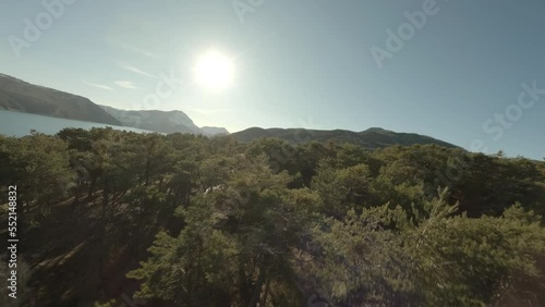 Flies over the forest of Chanteloube beach in Savines le Lac in the Hautes-Alpes photo