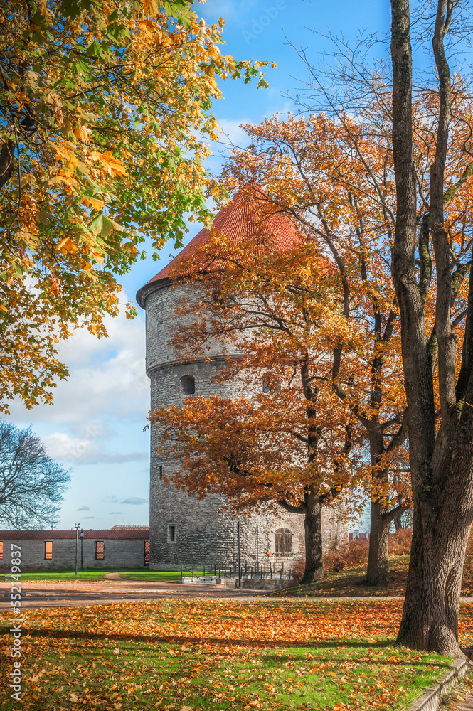 Medieval tower Kiek-in-de-Kok in the park on the hill Toompea. Autumn in old Tallinn.Famous Landmark.