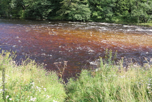 The River Wharfe around Bolton Abbey, England Great Britain photo