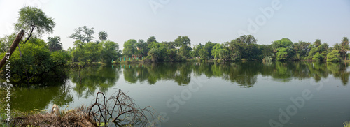 Panoramic view of  a lake of Keoladeo Ghana National Park, Bharatpur, India photo