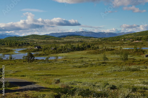 Route 37 between Rjukan and Totak, Vestfold og Telemark County, Norway.