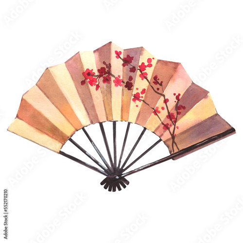 Watercolor japanese fan with ornament of sakura branch. Watercolor illustration isolated on white background.