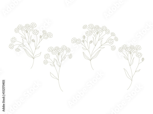 Flower branch. Hand drawn  herbs  plants and elegant leaves. Botanical rustic trendy greenery vector