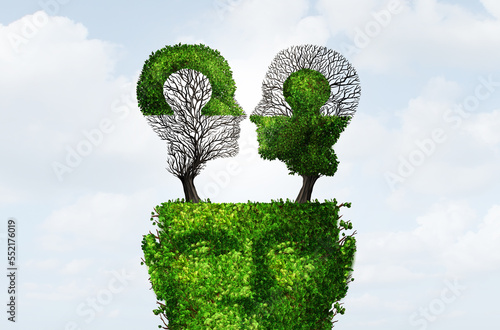 Fotografie Cognitive Dissonance and Rationalization as logical reasoning or mental illness