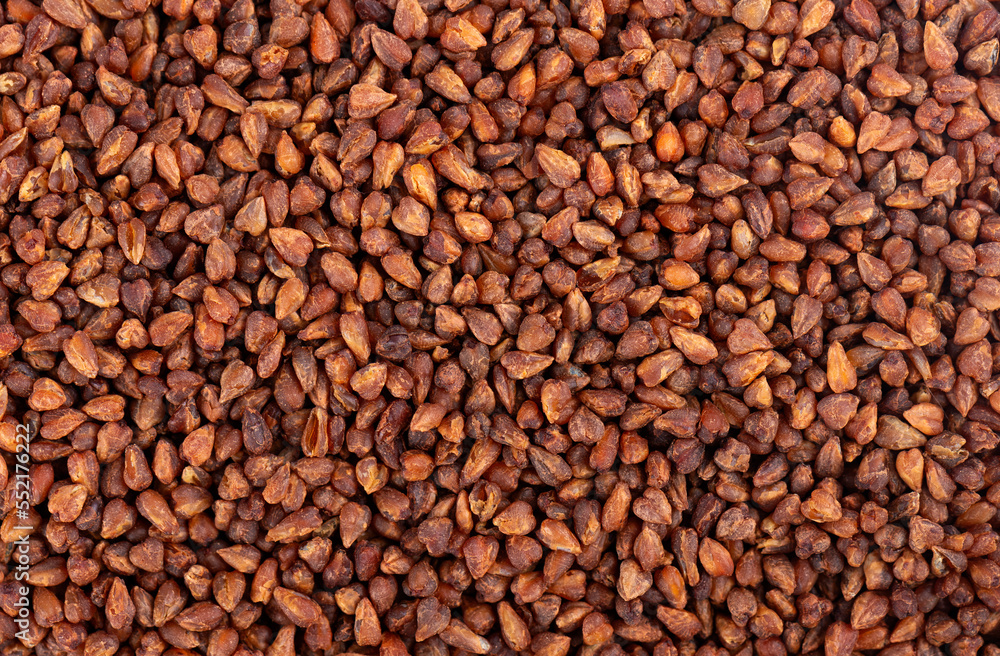 Buckwheat tea background. Whole roasted buckwheat grains. Fagopyrum tataricum. Buckwheat tea background. Whole roasted buckwheat grains. Fagopyrum tataricum.