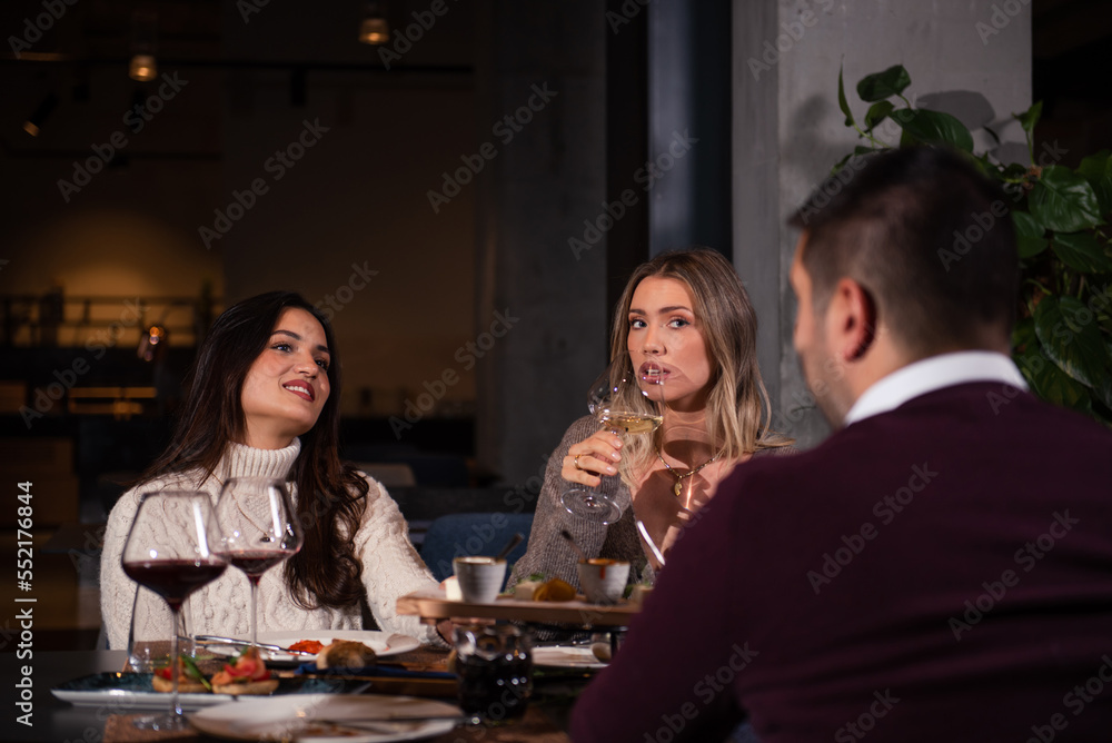 Female friends drinking wine in the restaurant