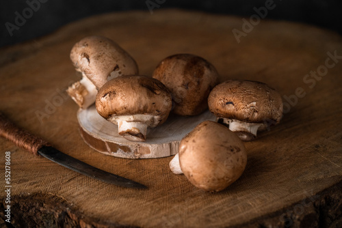 Cogumelos photo