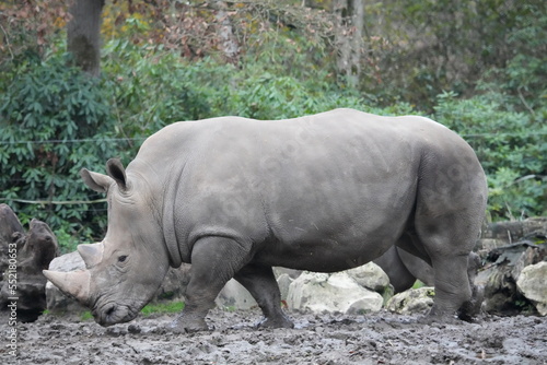 zoo de thoiry