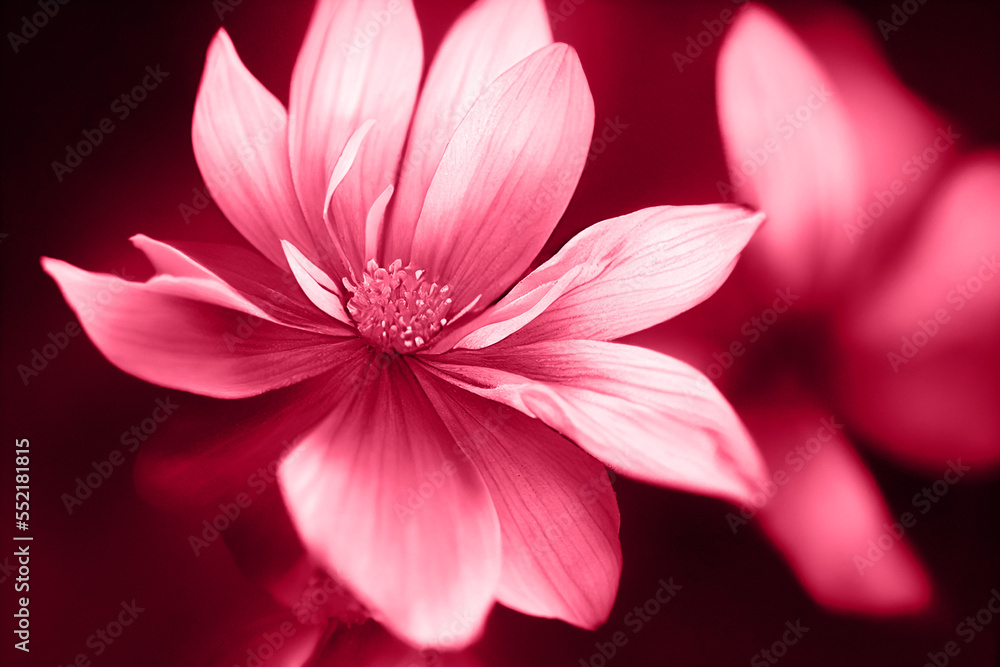 Beautiful Magenta flower petal pattern, trend 2023 floral background.