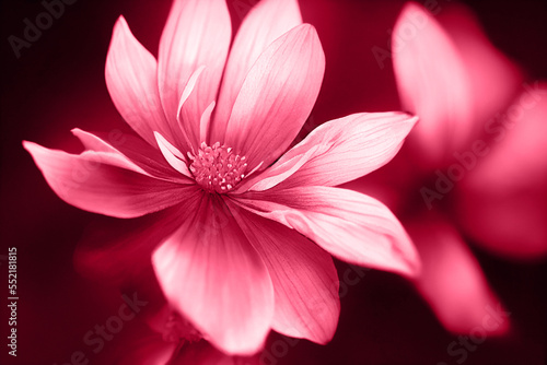 Beautiful Magenta flower petal pattern  trend 2023 floral background.